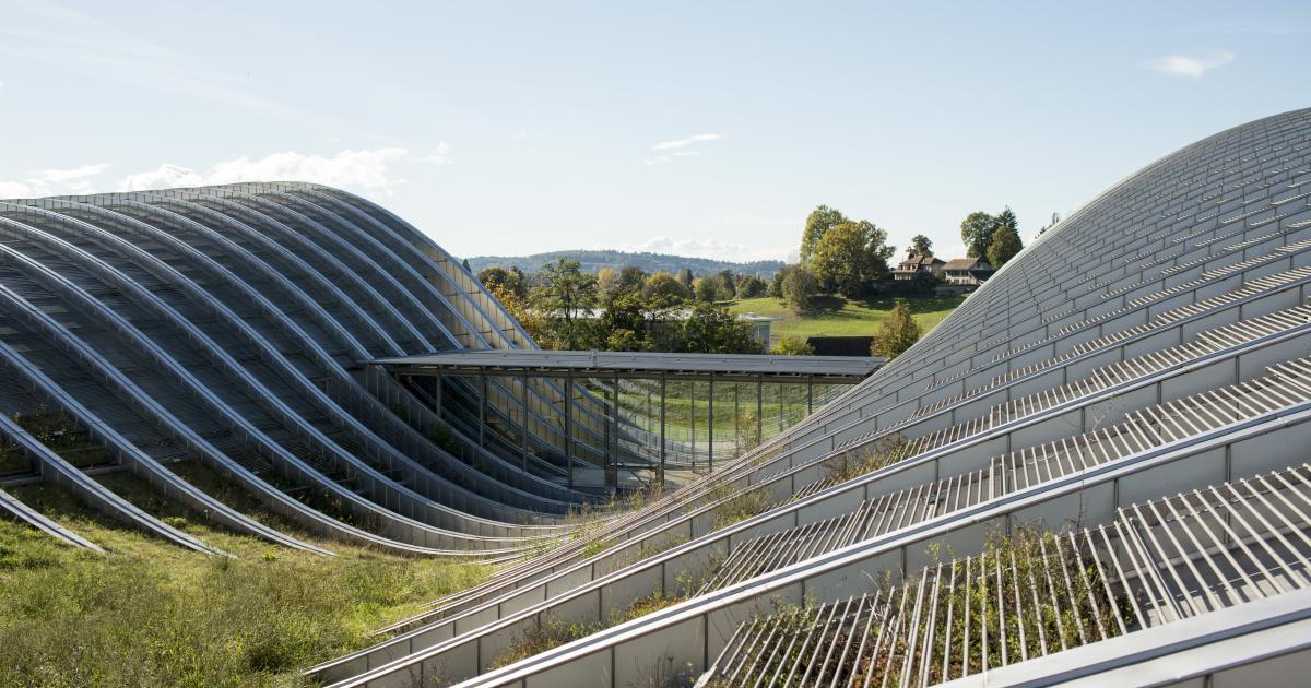アート・デザイン・音楽 Zentrum Paul Klee Bern: The Architecture Architecture | Zentrum Paul Klee